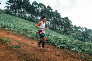 BIB: 
                            <button type="button" onclick="openModal(25298886)" class="btn btn-primary btn-sm float-right btn-popup" data-toggle="modal" data-target=".modal-high-quality">
                        <i class="fas fa-shopping-cart"></i> Add to Cart
                    </button>
                                            <button type="button" onclick="isThisMe(25298886, true)" class="btn btn-success btn-sm float-right btn-popup btn-isme hidden" data-toggle="tooltip" data-placement="bottom" title="นี่คือรูปของคุณใช่ไหม คลิกที่นี่เพื่อเอาเข้าอัลบั้ม">
                        <i class="fas fa-plus"></i> Add to album
                    </button>
                    <button type="button" onclick="isThisMe(25298886, false)" class="btn btn-warning btn-sm float-right btn-popup btn-isnotme hidden">
                        <i class="fas fa-ban"></i> Remove from album
                    </button>