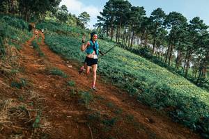 BIB: 
                            <button type="button" onclick="openModal(25289901)" class="btn btn-primary btn-sm float-right btn-popup" data-toggle="modal" data-target=".modal-high-quality">
                        <i class="fas fa-shopping-cart"></i> Add to Cart
                    </button>
                                            <button type="button" onclick="isThisMe(25289901, true)" class="btn btn-success btn-sm float-right btn-popup btn-isme hidden" data-toggle="tooltip" data-placement="bottom" title="นี่คือรูปของคุณใช่ไหม คลิกที่นี่เพื่อเอาเข้าอัลบั้ม">
                        <i class="fas fa-plus"></i> Add to album
                    </button>
                    <button type="button" onclick="isThisMe(25289901, false)" class="btn btn-warning btn-sm float-right btn-popup btn-isnotme hidden">
                        <i class="fas fa-ban"></i> Remove from album
                    </button>