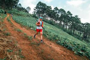 BIB: 
                            <button type="button" onclick="openModal(25297966)" class="btn btn-primary btn-sm float-right btn-popup" data-toggle="modal" data-target=".modal-high-quality">
                        <i class="fas fa-shopping-cart"></i> Add to Cart
                    </button>
                                            <button type="button" onclick="isThisMe(25297966, true)" class="btn btn-success btn-sm float-right btn-popup btn-isme hidden" data-toggle="tooltip" data-placement="bottom" title="นี่คือรูปของคุณใช่ไหม คลิกที่นี่เพื่อเอาเข้าอัลบั้ม">
                        <i class="fas fa-plus"></i> Add to album
                    </button>
                    <button type="button" onclick="isThisMe(25297966, false)" class="btn btn-warning btn-sm float-right btn-popup btn-isnotme hidden">
                        <i class="fas fa-ban"></i> Remove from album
                    </button>