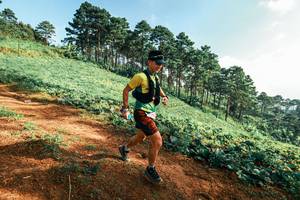 BIB: 
                            <button type="button" onclick="openModal(25290471)" class="btn btn-primary btn-sm float-right btn-popup" data-toggle="modal" data-target=".modal-high-quality">
                        <i class="fas fa-shopping-cart"></i> Add to Cart
                    </button>
                                            <button type="button" onclick="isThisMe(25290471, true)" class="btn btn-success btn-sm float-right btn-popup btn-isme hidden" data-toggle="tooltip" data-placement="bottom" title="นี่คือรูปของคุณใช่ไหม คลิกที่นี่เพื่อเอาเข้าอัลบั้ม">
                        <i class="fas fa-plus"></i> Add to album
                    </button>
                    <button type="button" onclick="isThisMe(25290471, false)" class="btn btn-warning btn-sm float-right btn-popup btn-isnotme hidden">
                        <i class="fas fa-ban"></i> Remove from album
                    </button>