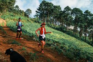 BIB: 
                            <button type="button" onclick="openModal(25289316)" class="btn btn-primary btn-sm float-right btn-popup" data-toggle="modal" data-target=".modal-high-quality">
                        <i class="fas fa-shopping-cart"></i> Add to Cart
                    </button>
                                            <button type="button" onclick="isThisMe(25289316, true)" class="btn btn-success btn-sm float-right btn-popup btn-isme hidden" data-toggle="tooltip" data-placement="bottom" title="นี่คือรูปของคุณใช่ไหม คลิกที่นี่เพื่อเอาเข้าอัลบั้ม">
                        <i class="fas fa-plus"></i> Add to album
                    </button>
                    <button type="button" onclick="isThisMe(25289316, false)" class="btn btn-warning btn-sm float-right btn-popup btn-isnotme hidden">
                        <i class="fas fa-ban"></i> Remove from album
                    </button>