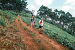 BIB: 
                            <button type="button" onclick="openModal(25301711)" class="btn btn-primary btn-sm float-right btn-popup" data-toggle="modal" data-target=".modal-high-quality">
                        <i class="fas fa-shopping-cart"></i> Add to Cart
                    </button>
                                            <button type="button" onclick="isThisMe(25301711, true)" class="btn btn-success btn-sm float-right btn-popup btn-isme hidden" data-toggle="tooltip" data-placement="bottom" title="นี่คือรูปของคุณใช่ไหม คลิกที่นี่เพื่อเอาเข้าอัลบั้ม">
                        <i class="fas fa-plus"></i> Add to album
                    </button>
                    <button type="button" onclick="isThisMe(25301711, false)" class="btn btn-warning btn-sm float-right btn-popup btn-isnotme hidden">
                        <i class="fas fa-ban"></i> Remove from album
                    </button>