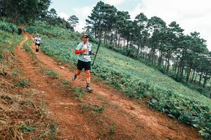 BIB: 
                            <button type="button" onclick="openModal(25299680)" class="btn btn-primary btn-sm float-right btn-popup" data-toggle="modal" data-target=".modal-high-quality">
                        <i class="fas fa-shopping-cart"></i> Add to Cart
                    </button>
                                            <button type="button" onclick="isThisMe(25299680, true)" class="btn btn-success btn-sm float-right btn-popup btn-isme hidden" data-toggle="tooltip" data-placement="bottom" title="นี่คือรูปของคุณใช่ไหม คลิกที่นี่เพื่อเอาเข้าอัลบั้ม">
                        <i class="fas fa-plus"></i> Add to album
                    </button>
                    <button type="button" onclick="isThisMe(25299680, false)" class="btn btn-warning btn-sm float-right btn-popup btn-isnotme hidden">
                        <i class="fas fa-ban"></i> Remove from album
                    </button>