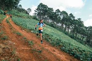 BIB: 
                            <button type="button" onclick="openModal(25454227)" class="btn btn-primary btn-sm float-right btn-popup" data-toggle="modal" data-target=".modal-high-quality">
                        <i class="fas fa-shopping-cart"></i> Add to Cart
                    </button>
                                            <button type="button" onclick="isThisMe(25454227, true)" class="btn btn-success btn-sm float-right btn-popup btn-isme hidden" data-toggle="tooltip" data-placement="bottom" title="นี่คือรูปของคุณใช่ไหม คลิกที่นี่เพื่อเอาเข้าอัลบั้ม">
                        <i class="fas fa-plus"></i> Add to album
                    </button>
                    <button type="button" onclick="isThisMe(25454227, false)" class="btn btn-warning btn-sm float-right btn-popup btn-isnotme hidden">
                        <i class="fas fa-ban"></i> Remove from album
                    </button>