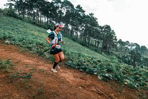 BIB: 
                            <button type="button" onclick="openModal(25324015)" class="btn btn-primary btn-sm float-right btn-popup" data-toggle="modal" data-target=".modal-high-quality">
                        <i class="fas fa-shopping-cart"></i> Add to Cart
                    </button>
                                            <button type="button" onclick="isThisMe(25324015, true)" class="btn btn-success btn-sm float-right btn-popup btn-isme hidden" data-toggle="tooltip" data-placement="bottom" title="นี่คือรูปของคุณใช่ไหม คลิกที่นี่เพื่อเอาเข้าอัลบั้ม">
                        <i class="fas fa-plus"></i> Add to album
                    </button>
                    <button type="button" onclick="isThisMe(25324015, false)" class="btn btn-warning btn-sm float-right btn-popup btn-isnotme hidden">
                        <i class="fas fa-ban"></i> Remove from album
                    </button>