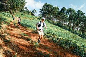 BIB: 
                            <button type="button" onclick="openModal(25289675)" class="btn btn-primary btn-sm float-right btn-popup" data-toggle="modal" data-target=".modal-high-quality">
                        <i class="fas fa-shopping-cart"></i> Add to Cart
                    </button>
                                            <button type="button" onclick="isThisMe(25289675, true)" class="btn btn-success btn-sm float-right btn-popup btn-isme hidden" data-toggle="tooltip" data-placement="bottom" title="นี่คือรูปของคุณใช่ไหม คลิกที่นี่เพื่อเอาเข้าอัลบั้ม">
                        <i class="fas fa-plus"></i> Add to album
                    </button>
                    <button type="button" onclick="isThisMe(25289675, false)" class="btn btn-warning btn-sm float-right btn-popup btn-isnotme hidden">
                        <i class="fas fa-ban"></i> Remove from album
                    </button>