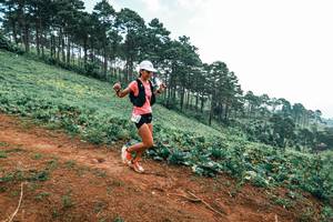 BIB: 
                            <button type="button" onclick="openModal(25297887)" class="btn btn-primary btn-sm float-right btn-popup" data-toggle="modal" data-target=".modal-high-quality">
                        <i class="fas fa-shopping-cart"></i> Add to Cart
                    </button>
                                            <button type="button" onclick="isThisMe(25297887, true)" class="btn btn-success btn-sm float-right btn-popup btn-isme hidden" data-toggle="tooltip" data-placement="bottom" title="นี่คือรูปของคุณใช่ไหม คลิกที่นี่เพื่อเอาเข้าอัลบั้ม">
                        <i class="fas fa-plus"></i> Add to album
                    </button>
                    <button type="button" onclick="isThisMe(25297887, false)" class="btn btn-warning btn-sm float-right btn-popup btn-isnotme hidden">
                        <i class="fas fa-ban"></i> Remove from album
                    </button>