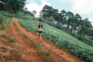 BIB: 
                            <button type="button" onclick="openModal(25452964)" class="btn btn-primary btn-sm float-right btn-popup" data-toggle="modal" data-target=".modal-high-quality">
                        <i class="fas fa-shopping-cart"></i> Add to Cart
                    </button>
                                            <button type="button" onclick="isThisMe(25452964, true)" class="btn btn-success btn-sm float-right btn-popup btn-isme hidden" data-toggle="tooltip" data-placement="bottom" title="นี่คือรูปของคุณใช่ไหม คลิกที่นี่เพื่อเอาเข้าอัลบั้ม">
                        <i class="fas fa-plus"></i> Add to album
                    </button>
                    <button type="button" onclick="isThisMe(25452964, false)" class="btn btn-warning btn-sm float-right btn-popup btn-isnotme hidden">
                        <i class="fas fa-ban"></i> Remove from album
                    </button>