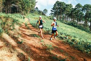 BIB: 
                            <button type="button" onclick="openModal(25289543)" class="btn btn-primary btn-sm float-right btn-popup" data-toggle="modal" data-target=".modal-high-quality">
                        <i class="fas fa-shopping-cart"></i> Add to Cart
                    </button>
                                            <button type="button" onclick="isThisMe(25289543, true)" class="btn btn-success btn-sm float-right btn-popup btn-isme hidden" data-toggle="tooltip" data-placement="bottom" title="นี่คือรูปของคุณใช่ไหม คลิกที่นี่เพื่อเอาเข้าอัลบั้ม">
                        <i class="fas fa-plus"></i> Add to album
                    </button>
                    <button type="button" onclick="isThisMe(25289543, false)" class="btn btn-warning btn-sm float-right btn-popup btn-isnotme hidden">
                        <i class="fas fa-ban"></i> Remove from album
                    </button>