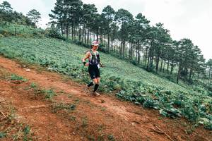 BIB: 
                            <button type="button" onclick="openModal(25299195)" class="btn btn-primary btn-sm float-right btn-popup" data-toggle="modal" data-target=".modal-high-quality">
                        <i class="fas fa-shopping-cart"></i> Add to Cart
                    </button>
                                            <button type="button" onclick="isThisMe(25299195, true)" class="btn btn-success btn-sm float-right btn-popup btn-isme hidden" data-toggle="tooltip" data-placement="bottom" title="นี่คือรูปของคุณใช่ไหม คลิกที่นี่เพื่อเอาเข้าอัลบั้ม">
                        <i class="fas fa-plus"></i> Add to album
                    </button>
                    <button type="button" onclick="isThisMe(25299195, false)" class="btn btn-warning btn-sm float-right btn-popup btn-isnotme hidden">
                        <i class="fas fa-ban"></i> Remove from album
                    </button>