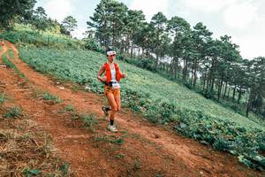 BIB: 
                            <button type="button" onclick="openModal(25298646)" class="btn btn-primary btn-sm float-right btn-popup" data-toggle="modal" data-target=".modal-high-quality">
                        <i class="fas fa-shopping-cart"></i> Add to Cart
                    </button>
                                            <button type="button" onclick="isThisMe(25298646, true)" class="btn btn-success btn-sm float-right btn-popup btn-isme hidden" data-toggle="tooltip" data-placement="bottom" title="นี่คือรูปของคุณใช่ไหม คลิกที่นี่เพื่อเอาเข้าอัลบั้ม">
                        <i class="fas fa-plus"></i> Add to album
                    </button>
                    <button type="button" onclick="isThisMe(25298646, false)" class="btn btn-warning btn-sm float-right btn-popup btn-isnotme hidden">
                        <i class="fas fa-ban"></i> Remove from album
                    </button>