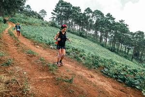 BIB: 
                            <button type="button" onclick="openModal(25322996)" class="btn btn-primary btn-sm float-right btn-popup" data-toggle="modal" data-target=".modal-high-quality">
                        <i class="fas fa-shopping-cart"></i> Add to Cart
                    </button>
                                            <button type="button" onclick="isThisMe(25322996, true)" class="btn btn-success btn-sm float-right btn-popup btn-isme hidden" data-toggle="tooltip" data-placement="bottom" title="นี่คือรูปของคุณใช่ไหม คลิกที่นี่เพื่อเอาเข้าอัลบั้ม">
                        <i class="fas fa-plus"></i> Add to album
                    </button>
                    <button type="button" onclick="isThisMe(25322996, false)" class="btn btn-warning btn-sm float-right btn-popup btn-isnotme hidden">
                        <i class="fas fa-ban"></i> Remove from album
                    </button>