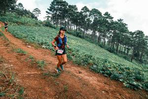 BIB: 
                            <button type="button" onclick="openModal(25299276)" class="btn btn-primary btn-sm float-right btn-popup" data-toggle="modal" data-target=".modal-high-quality">
                        <i class="fas fa-shopping-cart"></i> Add to Cart
                    </button>
                                            <button type="button" onclick="isThisMe(25299276, true)" class="btn btn-success btn-sm float-right btn-popup btn-isme hidden" data-toggle="tooltip" data-placement="bottom" title="นี่คือรูปของคุณใช่ไหม คลิกที่นี่เพื่อเอาเข้าอัลบั้ม">
                        <i class="fas fa-plus"></i> Add to album
                    </button>
                    <button type="button" onclick="isThisMe(25299276, false)" class="btn btn-warning btn-sm float-right btn-popup btn-isnotme hidden">
                        <i class="fas fa-ban"></i> Remove from album
                    </button>