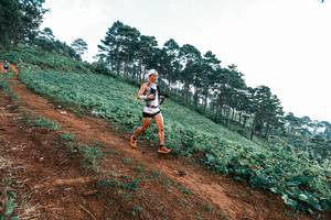 BIB: 
                            <button type="button" onclick="openModal(25288596)" class="btn btn-primary btn-sm float-right btn-popup" data-toggle="modal" data-target=".modal-high-quality">
                        <i class="fas fa-shopping-cart"></i> Add to Cart
                    </button>
                                            <button type="button" onclick="isThisMe(25288596, true)" class="btn btn-success btn-sm float-right btn-popup btn-isme hidden" data-toggle="tooltip" data-placement="bottom" title="นี่คือรูปของคุณใช่ไหม คลิกที่นี่เพื่อเอาเข้าอัลบั้ม">
                        <i class="fas fa-plus"></i> Add to album
                    </button>
                    <button type="button" onclick="isThisMe(25288596, false)" class="btn btn-warning btn-sm float-right btn-popup btn-isnotme hidden">
                        <i class="fas fa-ban"></i> Remove from album
                    </button>