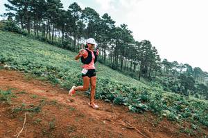 BIB: 
                            <button type="button" onclick="openModal(25297888)" class="btn btn-primary btn-sm float-right btn-popup" data-toggle="modal" data-target=".modal-high-quality">
                        <i class="fas fa-shopping-cart"></i> Add to Cart
                    </button>
                                            <button type="button" onclick="isThisMe(25297888, true)" class="btn btn-success btn-sm float-right btn-popup btn-isme hidden" data-toggle="tooltip" data-placement="bottom" title="นี่คือรูปของคุณใช่ไหม คลิกที่นี่เพื่อเอาเข้าอัลบั้ม">
                        <i class="fas fa-plus"></i> Add to album
                    </button>
                    <button type="button" onclick="isThisMe(25297888, false)" class="btn btn-warning btn-sm float-right btn-popup btn-isnotme hidden">
                        <i class="fas fa-ban"></i> Remove from album
                    </button>