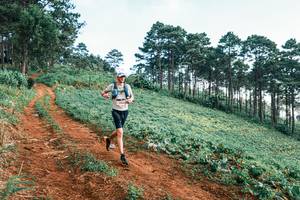 BIB: 
                            <button type="button" onclick="openModal(25287613)" class="btn btn-primary btn-sm float-right btn-popup" data-toggle="modal" data-target=".modal-high-quality">
                        <i class="fas fa-shopping-cart"></i> Add to Cart
                    </button>
                                            <button type="button" onclick="isThisMe(25287613, true)" class="btn btn-success btn-sm float-right btn-popup btn-isme hidden" data-toggle="tooltip" data-placement="bottom" title="นี่คือรูปของคุณใช่ไหม คลิกที่นี่เพื่อเอาเข้าอัลบั้ม">
                        <i class="fas fa-plus"></i> Add to album
                    </button>
                    <button type="button" onclick="isThisMe(25287613, false)" class="btn btn-warning btn-sm float-right btn-popup btn-isnotme hidden">
                        <i class="fas fa-ban"></i> Remove from album
                    </button>