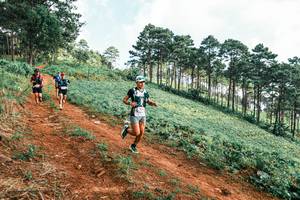 BIB: 
                            <button type="button" onclick="openModal(25288160)" class="btn btn-primary btn-sm float-right btn-popup" data-toggle="modal" data-target=".modal-high-quality">
                        <i class="fas fa-shopping-cart"></i> Add to Cart
                    </button>
                                            <button type="button" onclick="isThisMe(25288160, true)" class="btn btn-success btn-sm float-right btn-popup btn-isme hidden" data-toggle="tooltip" data-placement="bottom" title="นี่คือรูปของคุณใช่ไหม คลิกที่นี่เพื่อเอาเข้าอัลบั้ม">
                        <i class="fas fa-plus"></i> Add to album
                    </button>
                    <button type="button" onclick="isThisMe(25288160, false)" class="btn btn-warning btn-sm float-right btn-popup btn-isnotme hidden">
                        <i class="fas fa-ban"></i> Remove from album
                    </button>