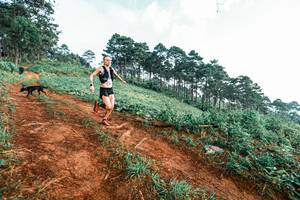 BIB: 
                            <button type="button" onclick="openModal(25287405)" class="btn btn-primary btn-sm float-right btn-popup" data-toggle="modal" data-target=".modal-high-quality">
                        <i class="fas fa-shopping-cart"></i> Add to Cart
                    </button>
                                            <button type="button" onclick="isThisMe(25287405, true)" class="btn btn-success btn-sm float-right btn-popup btn-isme hidden" data-toggle="tooltip" data-placement="bottom" title="นี่คือรูปของคุณใช่ไหม คลิกที่นี่เพื่อเอาเข้าอัลบั้ม">
                        <i class="fas fa-plus"></i> Add to album
                    </button>
                    <button type="button" onclick="isThisMe(25287405, false)" class="btn btn-warning btn-sm float-right btn-popup btn-isnotme hidden">
                        <i class="fas fa-ban"></i> Remove from album
                    </button>