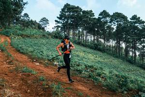 BIB: 
                            <button type="button" onclick="openModal(25289092)" class="btn btn-primary btn-sm float-right btn-popup" data-toggle="modal" data-target=".modal-high-quality">
                        <i class="fas fa-shopping-cart"></i> Add to Cart
                    </button>
                                            <button type="button" onclick="isThisMe(25289092, true)" class="btn btn-success btn-sm float-right btn-popup btn-isme hidden" data-toggle="tooltip" data-placement="bottom" title="นี่คือรูปของคุณใช่ไหม คลิกที่นี่เพื่อเอาเข้าอัลบั้ม">
                        <i class="fas fa-plus"></i> Add to album
                    </button>
                    <button type="button" onclick="isThisMe(25289092, false)" class="btn btn-warning btn-sm float-right btn-popup btn-isnotme hidden">
                        <i class="fas fa-ban"></i> Remove from album
                    </button>