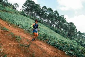 BIB: 
                            <button type="button" onclick="openModal(25452815)" class="btn btn-primary btn-sm float-right btn-popup" data-toggle="modal" data-target=".modal-high-quality">
                        <i class="fas fa-shopping-cart"></i> Add to Cart
                    </button>
                                            <button type="button" onclick="isThisMe(25452815, true)" class="btn btn-success btn-sm float-right btn-popup btn-isme hidden" data-toggle="tooltip" data-placement="bottom" title="นี่คือรูปของคุณใช่ไหม คลิกที่นี่เพื่อเอาเข้าอัลบั้ม">
                        <i class="fas fa-plus"></i> Add to album
                    </button>
                    <button type="button" onclick="isThisMe(25452815, false)" class="btn btn-warning btn-sm float-right btn-popup btn-isnotme hidden">
                        <i class="fas fa-ban"></i> Remove from album
                    </button>