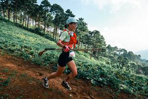 BIB: 
                            <button type="button" onclick="openModal(25289976)" class="btn btn-primary btn-sm float-right btn-popup" data-toggle="modal" data-target=".modal-high-quality">
                        <i class="fas fa-shopping-cart"></i> Add to Cart
                    </button>
                                            <button type="button" onclick="isThisMe(25289976, true)" class="btn btn-success btn-sm float-right btn-popup btn-isme hidden" data-toggle="tooltip" data-placement="bottom" title="นี่คือรูปของคุณใช่ไหม คลิกที่นี่เพื่อเอาเข้าอัลบั้ม">
                        <i class="fas fa-plus"></i> Add to album
                    </button>
                    <button type="button" onclick="isThisMe(25289976, false)" class="btn btn-warning btn-sm float-right btn-popup btn-isnotme hidden">
                        <i class="fas fa-ban"></i> Remove from album
                    </button>