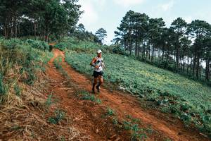 BIB: 
                            <button type="button" onclick="openModal(25287977)" class="btn btn-primary btn-sm float-right btn-popup" data-toggle="modal" data-target=".modal-high-quality">
                        <i class="fas fa-shopping-cart"></i> Add to Cart
                    </button>
                                            <button type="button" onclick="isThisMe(25287977, true)" class="btn btn-success btn-sm float-right btn-popup btn-isme hidden" data-toggle="tooltip" data-placement="bottom" title="นี่คือรูปของคุณใช่ไหม คลิกที่นี่เพื่อเอาเข้าอัลบั้ม">
                        <i class="fas fa-plus"></i> Add to album
                    </button>
                    <button type="button" onclick="isThisMe(25287977, false)" class="btn btn-warning btn-sm float-right btn-popup btn-isnotme hidden">
                        <i class="fas fa-ban"></i> Remove from album
                    </button>