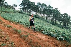 BIB: 
                            <button type="button" onclick="openModal(25299191)" class="btn btn-primary btn-sm float-right btn-popup" data-toggle="modal" data-target=".modal-high-quality">
                        <i class="fas fa-shopping-cart"></i> Add to Cart
                    </button>
                                            <button type="button" onclick="isThisMe(25299191, true)" class="btn btn-success btn-sm float-right btn-popup btn-isme hidden" data-toggle="tooltip" data-placement="bottom" title="นี่คือรูปของคุณใช่ไหม คลิกที่นี่เพื่อเอาเข้าอัลบั้ม">
                        <i class="fas fa-plus"></i> Add to album
                    </button>
                    <button type="button" onclick="isThisMe(25299191, false)" class="btn btn-warning btn-sm float-right btn-popup btn-isnotme hidden">
                        <i class="fas fa-ban"></i> Remove from album
                    </button>