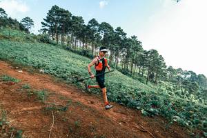 BIB: 
                            <button type="button" onclick="openModal(25292194)" class="btn btn-primary btn-sm float-right btn-popup" data-toggle="modal" data-target=".modal-high-quality">
                        <i class="fas fa-shopping-cart"></i> Add to Cart
                    </button>
                                            <button type="button" onclick="isThisMe(25292194, true)" class="btn btn-success btn-sm float-right btn-popup btn-isme hidden" data-toggle="tooltip" data-placement="bottom" title="นี่คือรูปของคุณใช่ไหม คลิกที่นี่เพื่อเอาเข้าอัลบั้ม">
                        <i class="fas fa-plus"></i> Add to album
                    </button>
                    <button type="button" onclick="isThisMe(25292194, false)" class="btn btn-warning btn-sm float-right btn-popup btn-isnotme hidden">
                        <i class="fas fa-ban"></i> Remove from album
                    </button>