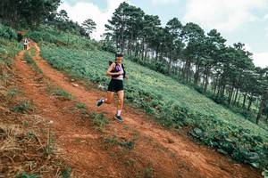 BIB: 
                            <button type="button" onclick="openModal(25453260)" class="btn btn-primary btn-sm float-right btn-popup" data-toggle="modal" data-target=".modal-high-quality">
                        <i class="fas fa-shopping-cart"></i> Add to Cart
                    </button>
                                            <button type="button" onclick="isThisMe(25453260, true)" class="btn btn-success btn-sm float-right btn-popup btn-isme hidden" data-toggle="tooltip" data-placement="bottom" title="นี่คือรูปของคุณใช่ไหม คลิกที่นี่เพื่อเอาเข้าอัลบั้ม">
                        <i class="fas fa-plus"></i> Add to album
                    </button>
                    <button type="button" onclick="isThisMe(25453260, false)" class="btn btn-warning btn-sm float-right btn-popup btn-isnotme hidden">
                        <i class="fas fa-ban"></i> Remove from album
                    </button>