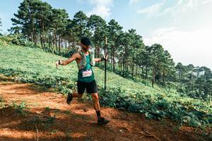 BIB: 
                            <button type="button" onclick="openModal(25291344)" class="btn btn-primary btn-sm float-right btn-popup" data-toggle="modal" data-target=".modal-high-quality">
                        <i class="fas fa-shopping-cart"></i> Add to Cart
                    </button>
                                            <button type="button" onclick="isThisMe(25291344, true)" class="btn btn-success btn-sm float-right btn-popup btn-isme hidden" data-toggle="tooltip" data-placement="bottom" title="นี่คือรูปของคุณใช่ไหม คลิกที่นี่เพื่อเอาเข้าอัลบั้ม">
                        <i class="fas fa-plus"></i> Add to album
                    </button>
                    <button type="button" onclick="isThisMe(25291344, false)" class="btn btn-warning btn-sm float-right btn-popup btn-isnotme hidden">
                        <i class="fas fa-ban"></i> Remove from album
                    </button>