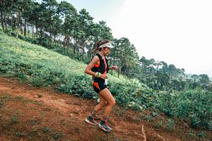 BIB: 
                            <button type="button" onclick="openModal(25297646)" class="btn btn-primary btn-sm float-right btn-popup" data-toggle="modal" data-target=".modal-high-quality">
                        <i class="fas fa-shopping-cart"></i> Add to Cart
                    </button>
                                            <button type="button" onclick="isThisMe(25297646, true)" class="btn btn-success btn-sm float-right btn-popup btn-isme hidden" data-toggle="tooltip" data-placement="bottom" title="นี่คือรูปของคุณใช่ไหม คลิกที่นี่เพื่อเอาเข้าอัลบั้ม">
                        <i class="fas fa-plus"></i> Add to album
                    </button>
                    <button type="button" onclick="isThisMe(25297646, false)" class="btn btn-warning btn-sm float-right btn-popup btn-isnotme hidden">
                        <i class="fas fa-ban"></i> Remove from album
                    </button>