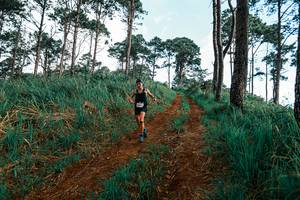 BIB: 
                            <button type="button" onclick="openModal(25287346)" class="btn btn-primary btn-sm float-right btn-popup" data-toggle="modal" data-target=".modal-high-quality">
                        <i class="fas fa-shopping-cart"></i> Add to Cart
                    </button>
                                            <button type="button" onclick="isThisMe(25287346, true)" class="btn btn-success btn-sm float-right btn-popup btn-isme hidden" data-toggle="tooltip" data-placement="bottom" title="นี่คือรูปของคุณใช่ไหม คลิกที่นี่เพื่อเอาเข้าอัลบั้ม">
                        <i class="fas fa-plus"></i> Add to album
                    </button>
                    <button type="button" onclick="isThisMe(25287346, false)" class="btn btn-warning btn-sm float-right btn-popup btn-isnotme hidden">
                        <i class="fas fa-ban"></i> Remove from album
                    </button>