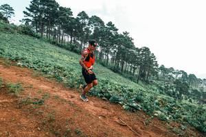 BIB: 
                            <button type="button" onclick="openModal(25300580)" class="btn btn-primary btn-sm float-right btn-popup" data-toggle="modal" data-target=".modal-high-quality">
                        <i class="fas fa-shopping-cart"></i> Add to Cart
                    </button>
                                            <button type="button" onclick="isThisMe(25300580, true)" class="btn btn-success btn-sm float-right btn-popup btn-isme hidden" data-toggle="tooltip" data-placement="bottom" title="นี่คือรูปของคุณใช่ไหม คลิกที่นี่เพื่อเอาเข้าอัลบั้ม">
                        <i class="fas fa-plus"></i> Add to album
                    </button>
                    <button type="button" onclick="isThisMe(25300580, false)" class="btn btn-warning btn-sm float-right btn-popup btn-isnotme hidden">
                        <i class="fas fa-ban"></i> Remove from album
                    </button>