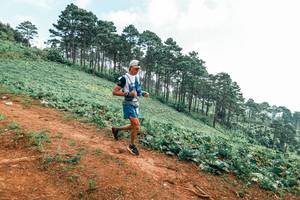 BIB: 
                            <button type="button" onclick="openModal(25300421)" class="btn btn-primary btn-sm float-right btn-popup" data-toggle="modal" data-target=".modal-high-quality">
                        <i class="fas fa-shopping-cart"></i> Add to Cart
                    </button>
                                            <button type="button" onclick="isThisMe(25300421, true)" class="btn btn-success btn-sm float-right btn-popup btn-isme hidden" data-toggle="tooltip" data-placement="bottom" title="นี่คือรูปของคุณใช่ไหม คลิกที่นี่เพื่อเอาเข้าอัลบั้ม">
                        <i class="fas fa-plus"></i> Add to album
                    </button>
                    <button type="button" onclick="isThisMe(25300421, false)" class="btn btn-warning btn-sm float-right btn-popup btn-isnotme hidden">
                        <i class="fas fa-ban"></i> Remove from album
                    </button>