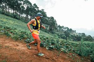 BIB: 
                            <button type="button" onclick="openModal(25323879)" class="btn btn-primary btn-sm float-right btn-popup" data-toggle="modal" data-target=".modal-high-quality">
                        <i class="fas fa-shopping-cart"></i> Add to Cart
                    </button>
                                            <button type="button" onclick="isThisMe(25323879, true)" class="btn btn-success btn-sm float-right btn-popup btn-isme hidden" data-toggle="tooltip" data-placement="bottom" title="นี่คือรูปของคุณใช่ไหม คลิกที่นี่เพื่อเอาเข้าอัลบั้ม">
                        <i class="fas fa-plus"></i> Add to album
                    </button>
                    <button type="button" onclick="isThisMe(25323879, false)" class="btn btn-warning btn-sm float-right btn-popup btn-isnotme hidden">
                        <i class="fas fa-ban"></i> Remove from album
                    </button>