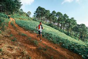 BIB: 
                            <button type="button" onclick="openModal(25291676)" class="btn btn-primary btn-sm float-right btn-popup" data-toggle="modal" data-target=".modal-high-quality">
                        <i class="fas fa-shopping-cart"></i> Add to Cart
                    </button>
                                            <button type="button" onclick="isThisMe(25291676, true)" class="btn btn-success btn-sm float-right btn-popup btn-isme hidden" data-toggle="tooltip" data-placement="bottom" title="นี่คือรูปของคุณใช่ไหม คลิกที่นี่เพื่อเอาเข้าอัลบั้ม">
                        <i class="fas fa-plus"></i> Add to album
                    </button>
                    <button type="button" onclick="isThisMe(25291676, false)" class="btn btn-warning btn-sm float-right btn-popup btn-isnotme hidden">
                        <i class="fas fa-ban"></i> Remove from album
                    </button>