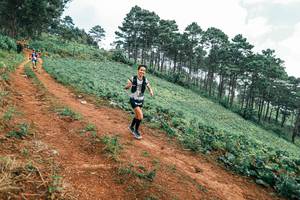 BIB: 
                            <button type="button" onclick="openModal(25298495)" class="btn btn-primary btn-sm float-right btn-popup" data-toggle="modal" data-target=".modal-high-quality">
                        <i class="fas fa-shopping-cart"></i> Add to Cart
                    </button>
                                            <button type="button" onclick="isThisMe(25298495, true)" class="btn btn-success btn-sm float-right btn-popup btn-isme hidden" data-toggle="tooltip" data-placement="bottom" title="นี่คือรูปของคุณใช่ไหม คลิกที่นี่เพื่อเอาเข้าอัลบั้ม">
                        <i class="fas fa-plus"></i> Add to album
                    </button>
                    <button type="button" onclick="isThisMe(25298495, false)" class="btn btn-warning btn-sm float-right btn-popup btn-isnotme hidden">
                        <i class="fas fa-ban"></i> Remove from album
                    </button>