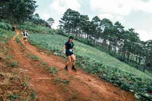 BIB: 
                            <button type="button" onclick="openModal(25301768)" class="btn btn-primary btn-sm float-right btn-popup" data-toggle="modal" data-target=".modal-high-quality">
                        <i class="fas fa-shopping-cart"></i> Add to Cart
                    </button>
                                            <button type="button" onclick="isThisMe(25301768, true)" class="btn btn-success btn-sm float-right btn-popup btn-isme hidden" data-toggle="tooltip" data-placement="bottom" title="นี่คือรูปของคุณใช่ไหม คลิกที่นี่เพื่อเอาเข้าอัลบั้ม">
                        <i class="fas fa-plus"></i> Add to album
                    </button>
                    <button type="button" onclick="isThisMe(25301768, false)" class="btn btn-warning btn-sm float-right btn-popup btn-isnotme hidden">
                        <i class="fas fa-ban"></i> Remove from album
                    </button>