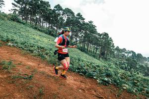 BIB: 
                            <button type="button" onclick="openModal(25299104)" class="btn btn-primary btn-sm float-right btn-popup" data-toggle="modal" data-target=".modal-high-quality">
                        <i class="fas fa-shopping-cart"></i> Add to Cart
                    </button>
                                            <button type="button" onclick="isThisMe(25299104, true)" class="btn btn-success btn-sm float-right btn-popup btn-isme hidden" data-toggle="tooltip" data-placement="bottom" title="นี่คือรูปของคุณใช่ไหม คลิกที่นี่เพื่อเอาเข้าอัลบั้ม">
                        <i class="fas fa-plus"></i> Add to album
                    </button>
                    <button type="button" onclick="isThisMe(25299104, false)" class="btn btn-warning btn-sm float-right btn-popup btn-isnotme hidden">
                        <i class="fas fa-ban"></i> Remove from album
                    </button>