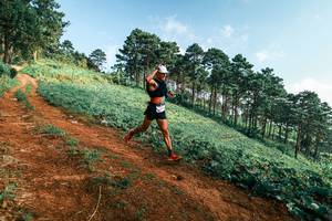 BIB: 
                            <button type="button" onclick="openModal(25290450)" class="btn btn-primary btn-sm float-right btn-popup" data-toggle="modal" data-target=".modal-high-quality">
                        <i class="fas fa-shopping-cart"></i> Add to Cart
                    </button>
                                            <button type="button" onclick="isThisMe(25290450, true)" class="btn btn-success btn-sm float-right btn-popup btn-isme hidden" data-toggle="tooltip" data-placement="bottom" title="นี่คือรูปของคุณใช่ไหม คลิกที่นี่เพื่อเอาเข้าอัลบั้ม">
                        <i class="fas fa-plus"></i> Add to album
                    </button>
                    <button type="button" onclick="isThisMe(25290450, false)" class="btn btn-warning btn-sm float-right btn-popup btn-isnotme hidden">
                        <i class="fas fa-ban"></i> Remove from album
                    </button>