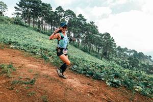 BIB: 
                            <button type="button" onclick="openModal(25322307)" class="btn btn-primary btn-sm float-right btn-popup" data-toggle="modal" data-target=".modal-high-quality">
                        <i class="fas fa-shopping-cart"></i> Add to Cart
                    </button>
                                            <button type="button" onclick="isThisMe(25322307, true)" class="btn btn-success btn-sm float-right btn-popup btn-isme hidden" data-toggle="tooltip" data-placement="bottom" title="นี่คือรูปของคุณใช่ไหม คลิกที่นี่เพื่อเอาเข้าอัลบั้ม">
                        <i class="fas fa-plus"></i> Add to album
                    </button>
                    <button type="button" onclick="isThisMe(25322307, false)" class="btn btn-warning btn-sm float-right btn-popup btn-isnotme hidden">
                        <i class="fas fa-ban"></i> Remove from album
                    </button>