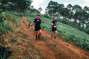 BIB: 
                            <button type="button" onclick="openModal(25299295)" class="btn btn-primary btn-sm float-right btn-popup" data-toggle="modal" data-target=".modal-high-quality">
                        <i class="fas fa-shopping-cart"></i> Add to Cart
                    </button>
                                            <button type="button" onclick="isThisMe(25299295, true)" class="btn btn-success btn-sm float-right btn-popup btn-isme hidden" data-toggle="tooltip" data-placement="bottom" title="นี่คือรูปของคุณใช่ไหม คลิกที่นี่เพื่อเอาเข้าอัลบั้ม">
                        <i class="fas fa-plus"></i> Add to album
                    </button>
                    <button type="button" onclick="isThisMe(25299295, false)" class="btn btn-warning btn-sm float-right btn-popup btn-isnotme hidden">
                        <i class="fas fa-ban"></i> Remove from album
                    </button>