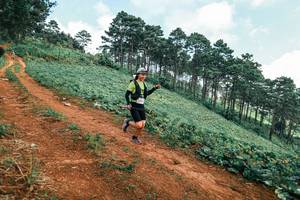 BIB: 
                            <button type="button" onclick="openModal(25453611)" class="btn btn-primary btn-sm float-right btn-popup" data-toggle="modal" data-target=".modal-high-quality">
                        <i class="fas fa-shopping-cart"></i> Add to Cart
                    </button>
                                            <button type="button" onclick="isThisMe(25453611, true)" class="btn btn-success btn-sm float-right btn-popup btn-isme hidden" data-toggle="tooltip" data-placement="bottom" title="นี่คือรูปของคุณใช่ไหม คลิกที่นี่เพื่อเอาเข้าอัลบั้ม">
                        <i class="fas fa-plus"></i> Add to album
                    </button>
                    <button type="button" onclick="isThisMe(25453611, false)" class="btn btn-warning btn-sm float-right btn-popup btn-isnotme hidden">
                        <i class="fas fa-ban"></i> Remove from album
                    </button>