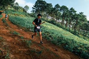 BIB: 
                            <button type="button" onclick="openModal(25289863)" class="btn btn-primary btn-sm float-right btn-popup" data-toggle="modal" data-target=".modal-high-quality">
                        <i class="fas fa-shopping-cart"></i> Add to Cart
                    </button>
                                            <button type="button" onclick="isThisMe(25289863, true)" class="btn btn-success btn-sm float-right btn-popup btn-isme hidden" data-toggle="tooltip" data-placement="bottom" title="นี่คือรูปของคุณใช่ไหม คลิกที่นี่เพื่อเอาเข้าอัลบั้ม">
                        <i class="fas fa-plus"></i> Add to album
                    </button>
                    <button type="button" onclick="isThisMe(25289863, false)" class="btn btn-warning btn-sm float-right btn-popup btn-isnotme hidden">
                        <i class="fas fa-ban"></i> Remove from album
                    </button>