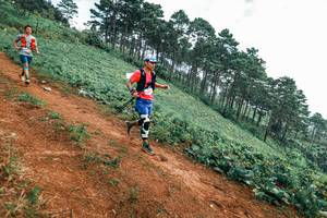 BIB: 
                            <button type="button" onclick="openModal(25299871)" class="btn btn-primary btn-sm float-right btn-popup" data-toggle="modal" data-target=".modal-high-quality">
                        <i class="fas fa-shopping-cart"></i> Add to Cart
                    </button>
                                            <button type="button" onclick="isThisMe(25299871, true)" class="btn btn-success btn-sm float-right btn-popup btn-isme hidden" data-toggle="tooltip" data-placement="bottom" title="นี่คือรูปของคุณใช่ไหม คลิกที่นี่เพื่อเอาเข้าอัลบั้ม">
                        <i class="fas fa-plus"></i> Add to album
                    </button>
                    <button type="button" onclick="isThisMe(25299871, false)" class="btn btn-warning btn-sm float-right btn-popup btn-isnotme hidden">
                        <i class="fas fa-ban"></i> Remove from album
                    </button>