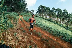 BIB: 
                            <button type="button" onclick="openModal(25291719)" class="btn btn-primary btn-sm float-right btn-popup" data-toggle="modal" data-target=".modal-high-quality">
                        <i class="fas fa-shopping-cart"></i> Add to Cart
                    </button>
                                            <button type="button" onclick="isThisMe(25291719, true)" class="btn btn-success btn-sm float-right btn-popup btn-isme hidden" data-toggle="tooltip" data-placement="bottom" title="นี่คือรูปของคุณใช่ไหม คลิกที่นี่เพื่อเอาเข้าอัลบั้ม">
                        <i class="fas fa-plus"></i> Add to album
                    </button>
                    <button type="button" onclick="isThisMe(25291719, false)" class="btn btn-warning btn-sm float-right btn-popup btn-isnotme hidden">
                        <i class="fas fa-ban"></i> Remove from album
                    </button>