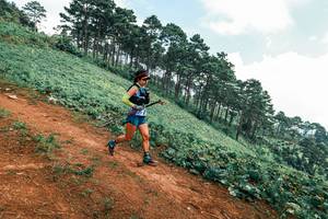 BIB: 
                            <button type="button" onclick="openModal(25452844)" class="btn btn-primary btn-sm float-right btn-popup" data-toggle="modal" data-target=".modal-high-quality">
                        <i class="fas fa-shopping-cart"></i> Add to Cart
                    </button>
                                            <button type="button" onclick="isThisMe(25452844, true)" class="btn btn-success btn-sm float-right btn-popup btn-isme hidden" data-toggle="tooltip" data-placement="bottom" title="นี่คือรูปของคุณใช่ไหม คลิกที่นี่เพื่อเอาเข้าอัลบั้ม">
                        <i class="fas fa-plus"></i> Add to album
                    </button>
                    <button type="button" onclick="isThisMe(25452844, false)" class="btn btn-warning btn-sm float-right btn-popup btn-isnotme hidden">
                        <i class="fas fa-ban"></i> Remove from album
                    </button>