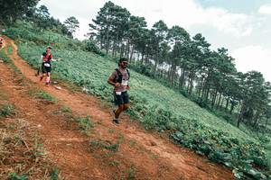 BIB: 
                            <button type="button" onclick="openModal(25451738)" class="btn btn-primary btn-sm float-right btn-popup" data-toggle="modal" data-target=".modal-high-quality">
                        <i class="fas fa-shopping-cart"></i> Add to Cart
                    </button>
                                            <button type="button" onclick="isThisMe(25451738, true)" class="btn btn-success btn-sm float-right btn-popup btn-isme hidden" data-toggle="tooltip" data-placement="bottom" title="นี่คือรูปของคุณใช่ไหม คลิกที่นี่เพื่อเอาเข้าอัลบั้ม">
                        <i class="fas fa-plus"></i> Add to album
                    </button>
                    <button type="button" onclick="isThisMe(25451738, false)" class="btn btn-warning btn-sm float-right btn-popup btn-isnotme hidden">
                        <i class="fas fa-ban"></i> Remove from album
                    </button>