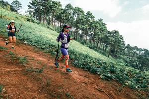 BIB: 
                            <button type="button" onclick="openModal(25297621)" class="btn btn-primary btn-sm float-right btn-popup" data-toggle="modal" data-target=".modal-high-quality">
                        <i class="fas fa-shopping-cart"></i> Add to Cart
                    </button>
                                            <button type="button" onclick="isThisMe(25297621, true)" class="btn btn-success btn-sm float-right btn-popup btn-isme hidden" data-toggle="tooltip" data-placement="bottom" title="นี่คือรูปของคุณใช่ไหม คลิกที่นี่เพื่อเอาเข้าอัลบั้ม">
                        <i class="fas fa-plus"></i> Add to album
                    </button>
                    <button type="button" onclick="isThisMe(25297621, false)" class="btn btn-warning btn-sm float-right btn-popup btn-isnotme hidden">
                        <i class="fas fa-ban"></i> Remove from album
                    </button>