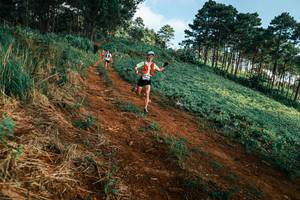 BIB: 
                            <button type="button" onclick="openModal(25289948)" class="btn btn-primary btn-sm float-right btn-popup" data-toggle="modal" data-target=".modal-high-quality">
                        <i class="fas fa-shopping-cart"></i> Add to Cart
                    </button>
                                            <button type="button" onclick="isThisMe(25289948, true)" class="btn btn-success btn-sm float-right btn-popup btn-isme hidden" data-toggle="tooltip" data-placement="bottom" title="นี่คือรูปของคุณใช่ไหม คลิกที่นี่เพื่อเอาเข้าอัลบั้ม">
                        <i class="fas fa-plus"></i> Add to album
                    </button>
                    <button type="button" onclick="isThisMe(25289948, false)" class="btn btn-warning btn-sm float-right btn-popup btn-isnotme hidden">
                        <i class="fas fa-ban"></i> Remove from album
                    </button>